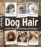 Dog Hair
