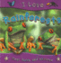 I Love Rainforests