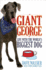 Giant George