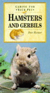 Caring for your pet hamsters and gerbils