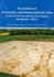 Excavation of Prehistoric and Romano-British Sites at Marnel Park and Merton Rise (Popley) Basingstoke, 2004-8