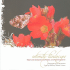 Intimate Landscape: The Four Corners in Poetry and Photography