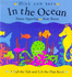 Hide and Seek: In the Ocean