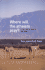 Where Will the Atheists Pray?: Life and Laughter in Israel