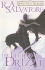 Forgotten Realms Legend of Drizzt Omnibus 2