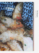 Nobuyoshi Araki - the Banquet. Books on Books 15