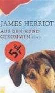 Auf Den Hund Gekommen