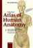 Wolf-Heidegger's Atlas of Human Anatomy, Volume 2