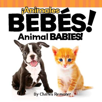 animales Bebs!: Animal Babies! - Reasoner, Charles