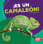 Es Un Camalen! (It's a Chameleon!)