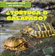 Tortuga O Galpago? (Turtle or Tortoise?)