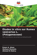 tudes in vitro sur Rumex vesicarius L. (Polygonaceae)