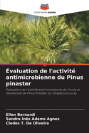 valuation de l'activit antimicrobienne du Pinus pinaster