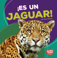 es Un Jaguar! (It's a Jaguar!)