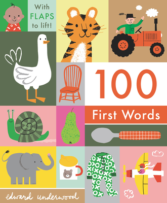 100 First Words: With Flaps to Lift - 