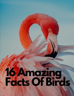 16 Amazing Facts Of Birds - Justin, Johnson