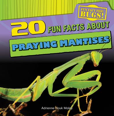 20 Fun Facts about Praying Mantises - Houk Maley, Adrienne
