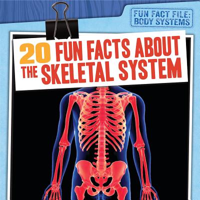 20 Fun Facts about the Skeletal System - Emminizer, Theresa