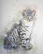 2019-2020 Academic Planner Weekly and Monthly Curious Cat