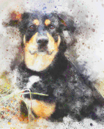 2019-2020 Academic Planner Weekly and Monthly Smart Dog