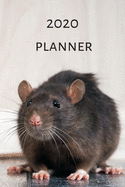 2020 Planner (6x9inch): Rat 2020 Planner; I love Rats Planner; Cute Rat 2020 Planner; Rat Lovers Book; I Love Rats; 6x9inch with weekly view