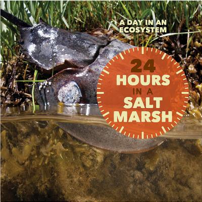 24 Hours in a Salt Marsh - Peterson, Christy