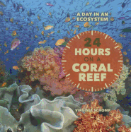 24 Hours on a Coral Reef