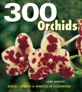 300 Orchids: Species, Hybrids & Varieties in Cultivation - Boosey, Jane