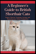 A Beginner's Guide to British Shorthair Cats: Expert Tips for Training, Caring, and Enjoying your Feline Companion