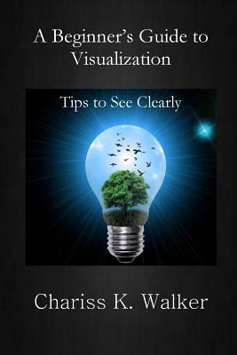 A Beginner's Guide to Visualization: Tips to See Clearly - Walker, Chariss K