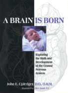 A Brain Is Born: Exploring the Birth & Development of the Central Nervous System - Upledger, John