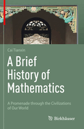 A Brief History of Mathematics: A Promenade through the Civilizations of Our World