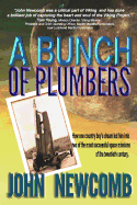 A Bunch of Plumbers