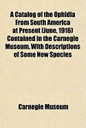 A Catalog of the Ophidia from South America at Present (June, 1916) Contained in the Carnegie Museum, with Descriptions of Some New Species