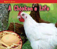 A Chicken's Life - Dickmann, Nancy