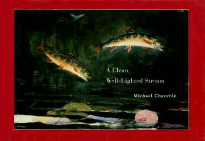 A Clean, Well-Lighted Stream - Checchio, Michael