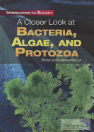 A Closer Look at Bacteria, Algae, and Protozoa - Hollar, Sherman (Editor)