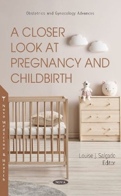 A Closer Look at Pregnancy and Childbirth - Salgado, Louise J. (Editor)