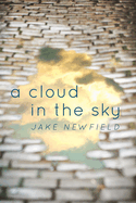 A Cloud in the Sky: Life's Greatest Lessons and Regrets Volume 1