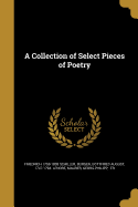 A Collection of Select Pieces of Poetry