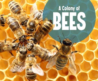 A Colony of Bees - Raatma, Lucia