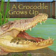 A Crocodile Grows Up - Doering Tourville, Amanda