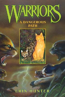 A Dangerous Path - Hunter, Erin