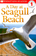A Day at Seagull Beach