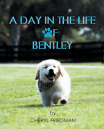 A Day in the Life of Bentley