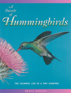 A Dazzle of Hummingbirds: The Colorful Life of a Tiny Scrapper