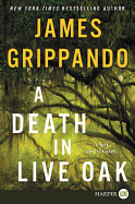 A Death in Live Oak: A Jack Swyteck Novel