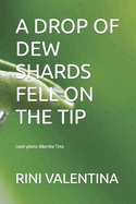 A Drop of Dew Shards Fell on the Tip