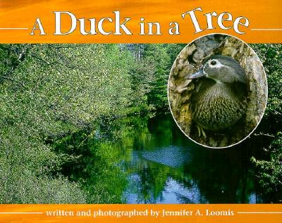 A Duck in a Tree - Loomis, Jennifer A