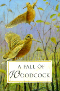 A Fall of Woodcock